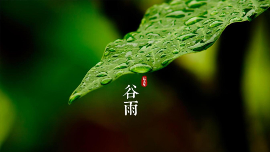 谷雨|喝一杯純凈好水，沐一場(chǎng)人間春色